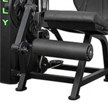 FLEXÃO SENTADA LS340