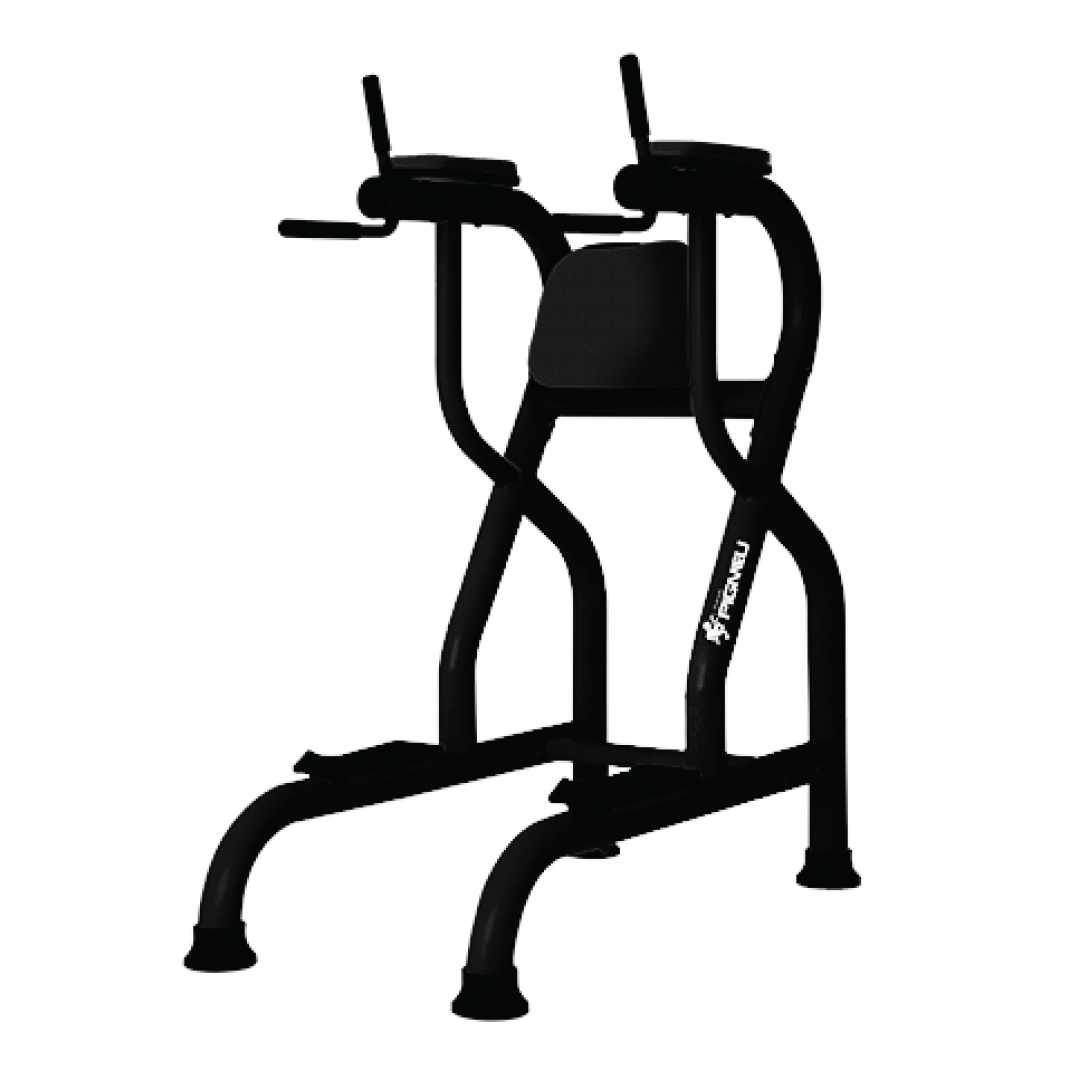 PARALELA ABDOMINAL PIG29